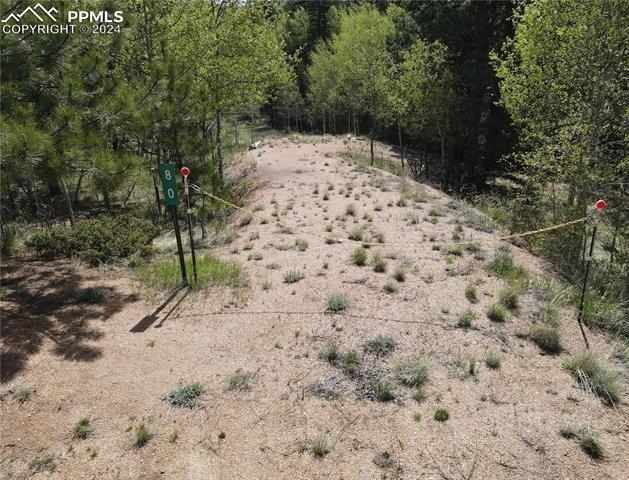 79 Trout Creek Circle