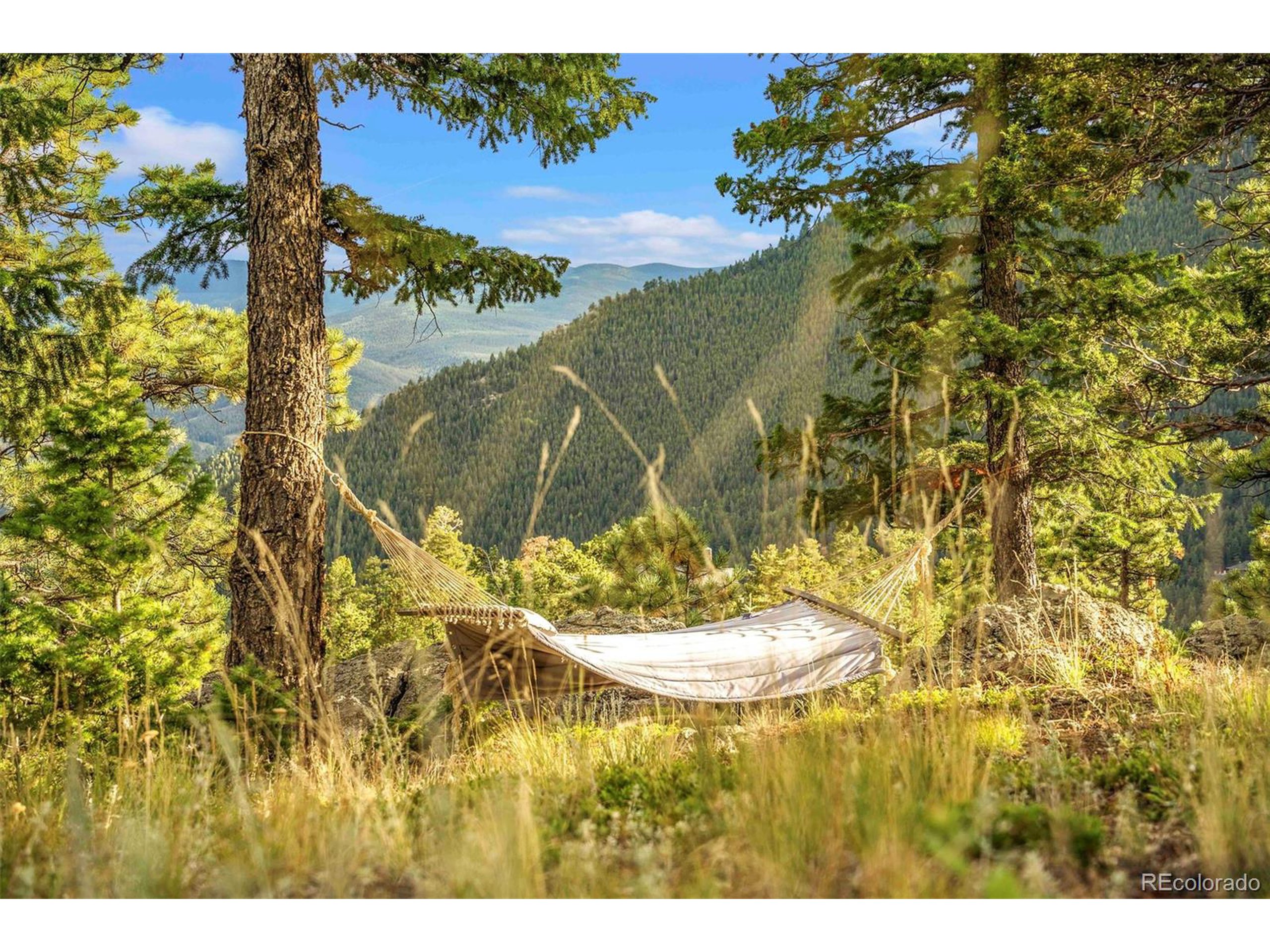 1059 Snyder Mountain Rd