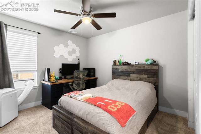 8258 Mount Ouray Road