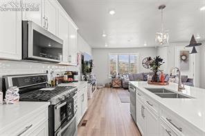 8258 Mount Ouray Road