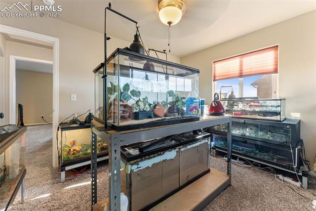 13161 River Falls Terrace