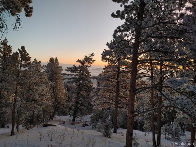 8624 S Doubleheader Ranch Road