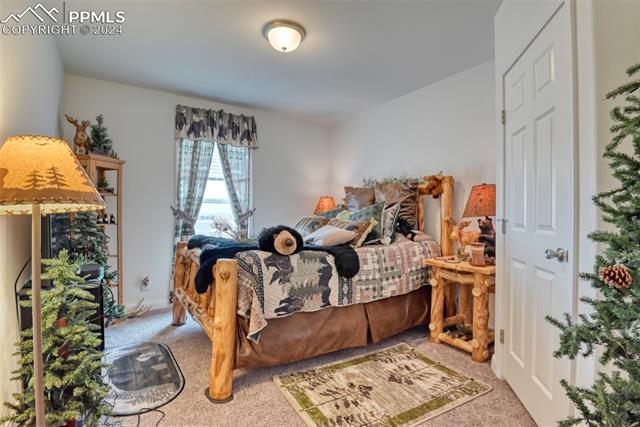 23850 Texas Longhorn Trail