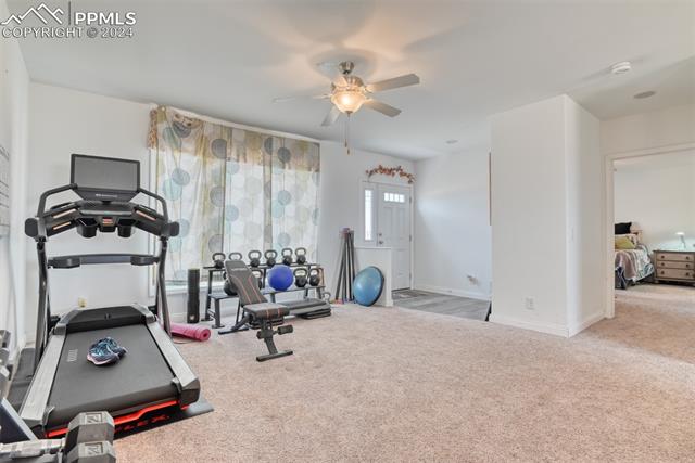 23850 Texas Longhorn Trail