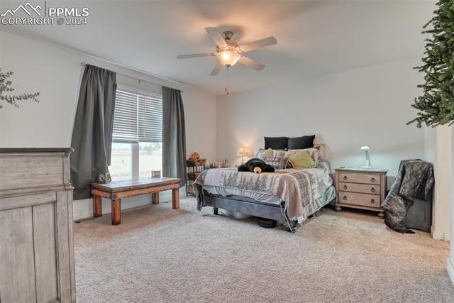 23850 Texas Longhorn Trail