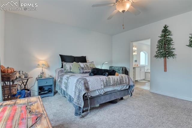 23850 Texas Longhorn Trail