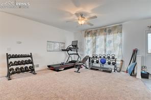 23850 Texas Longhorn Trail
