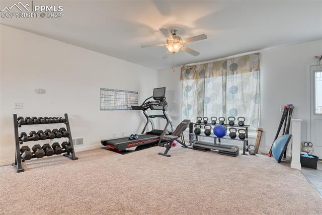 23850 Texas Longhorn Trail