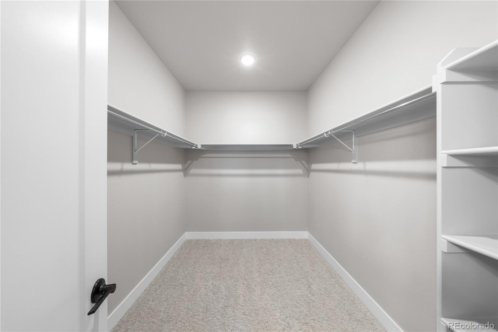 8894 Whiteclover Street