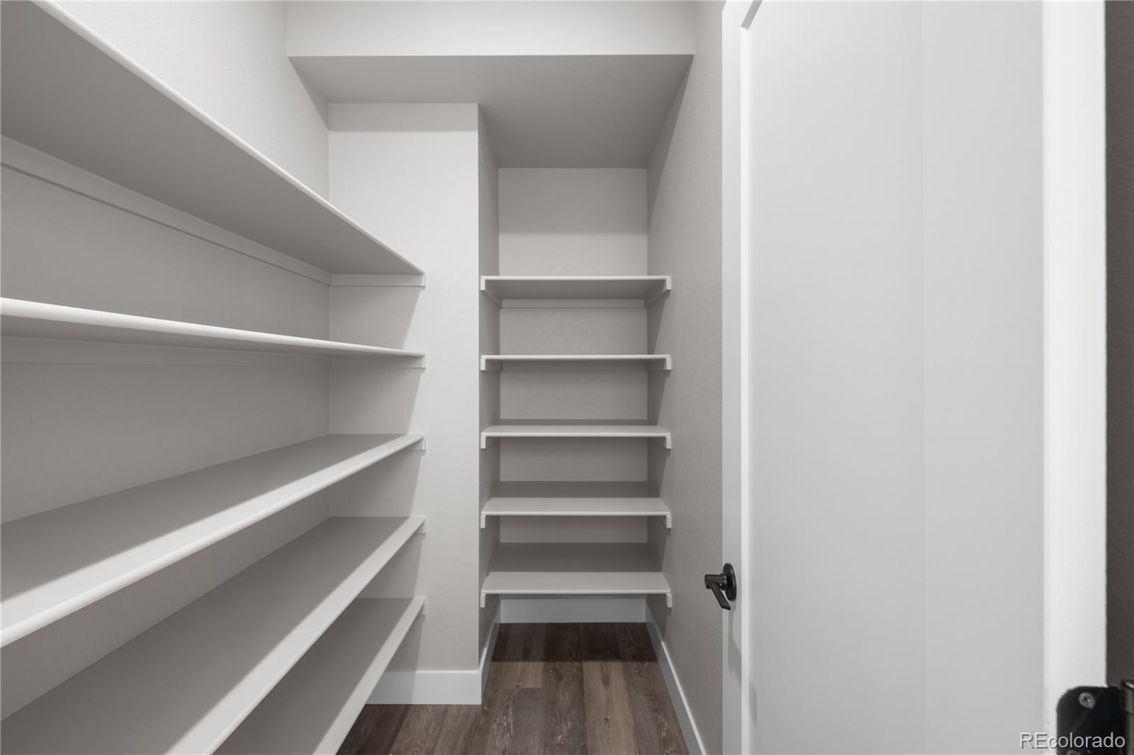 8894 Whiteclover Street