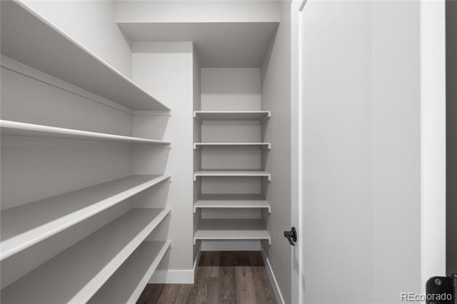 8894 Whiteclover Street