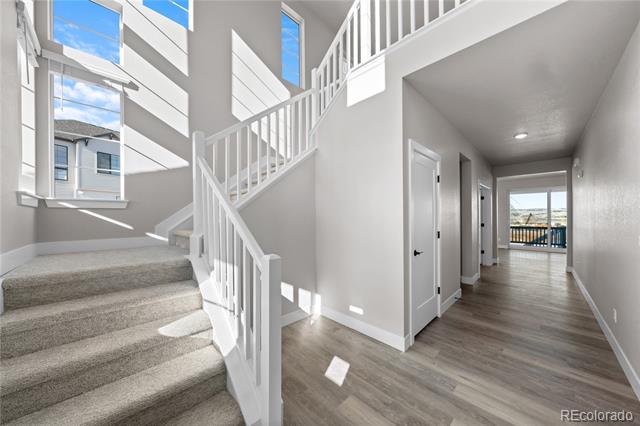 8894 Whiteclover Street