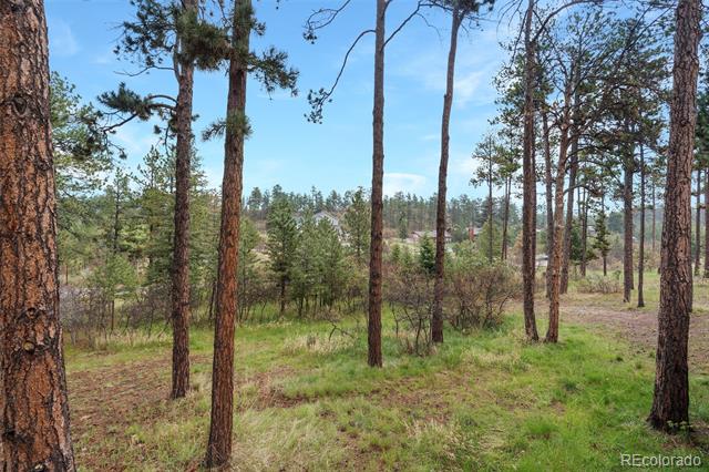 8170 Red Rock Court