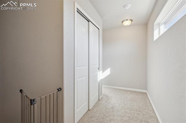 11751 Sedge Court