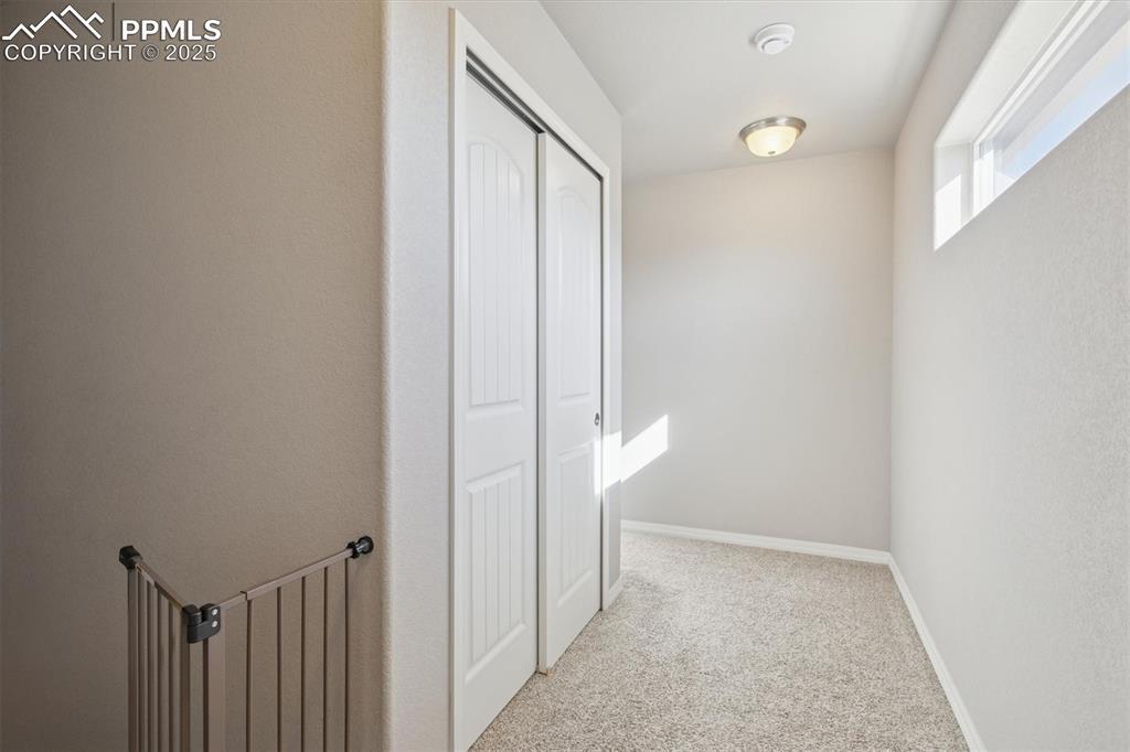 11751 Sedge Court