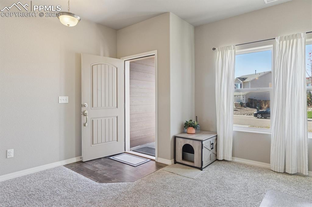 11751 Sedge Court