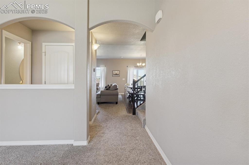 11751 Sedge Court