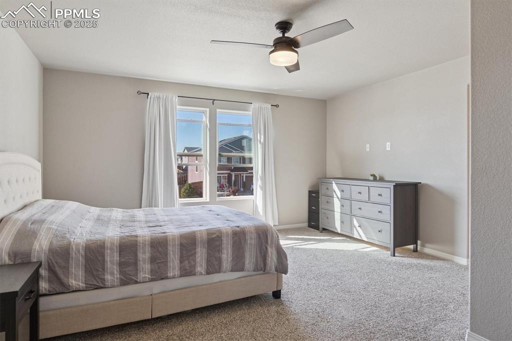 11751 Sedge Court