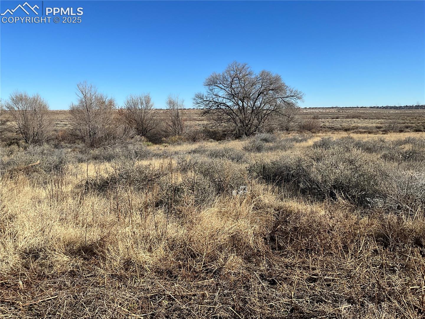 TBA Dunn Avenue