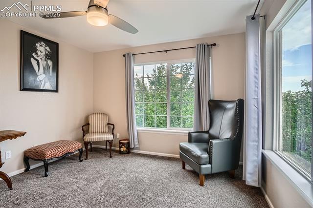 21299 Randolph Place