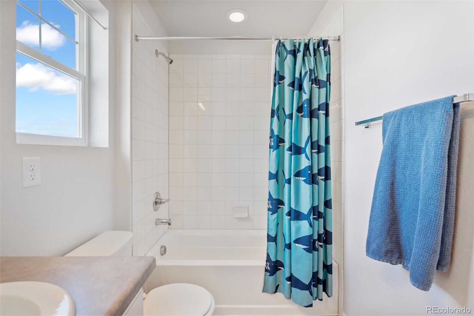 6480 Dry Fork Circle