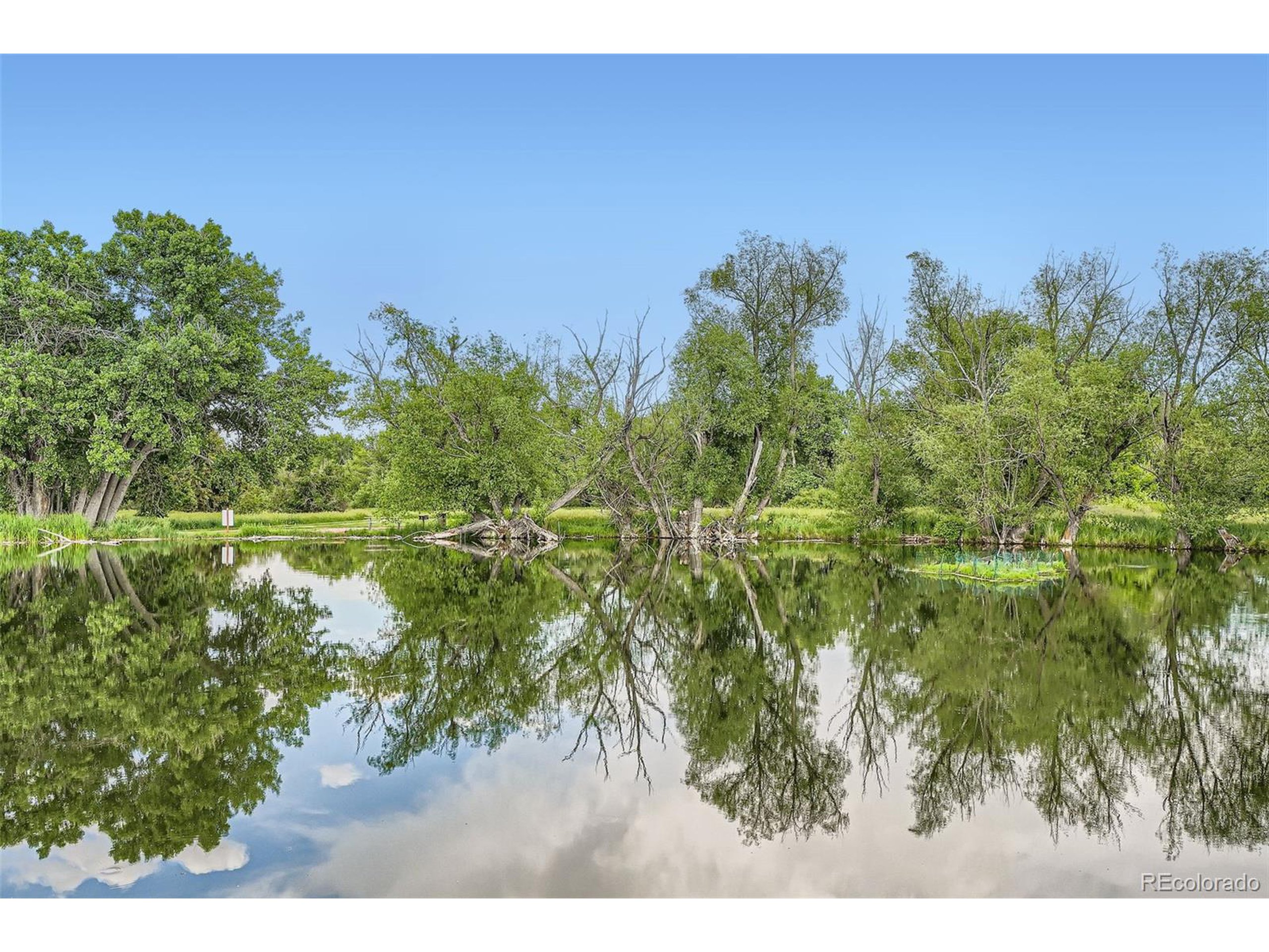 8795 W Cornell Ave 1