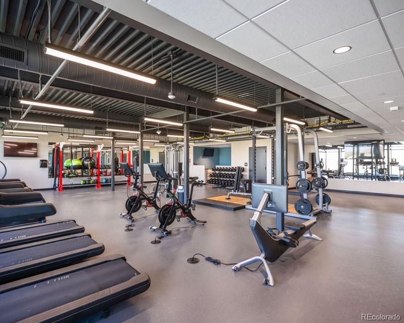 3345 Carabiner Street