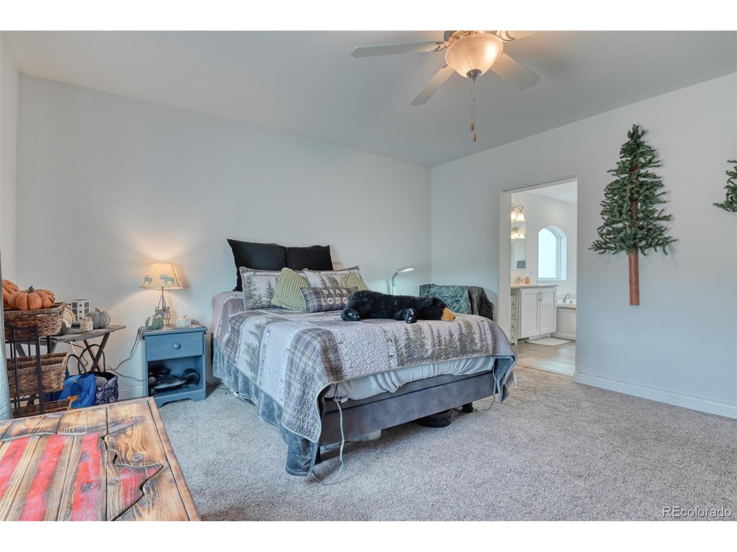 23850 Texas Longhorn Trl