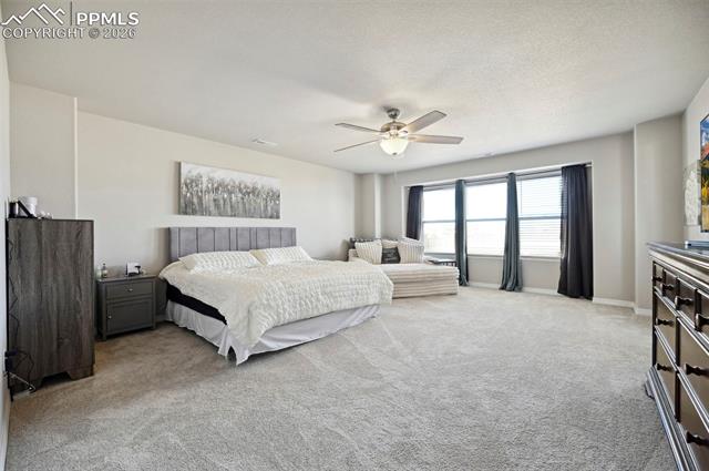 8295 Thedford Court