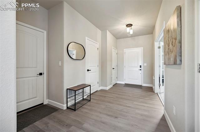 8295 Thedford Court