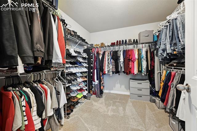 8295 Thedford Court