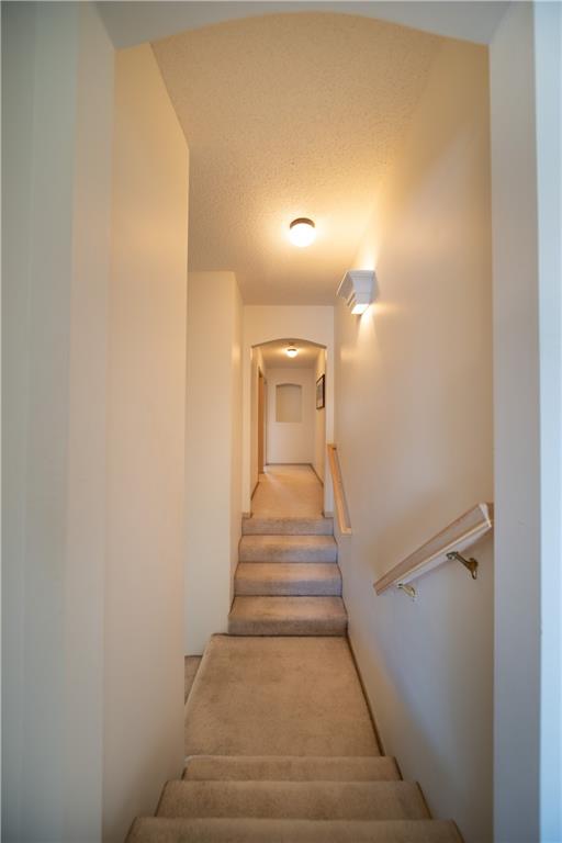 3209 Shadow Brook Drive
