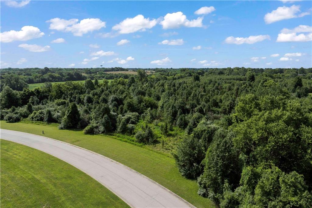 8515 Jacomo Ridge Court