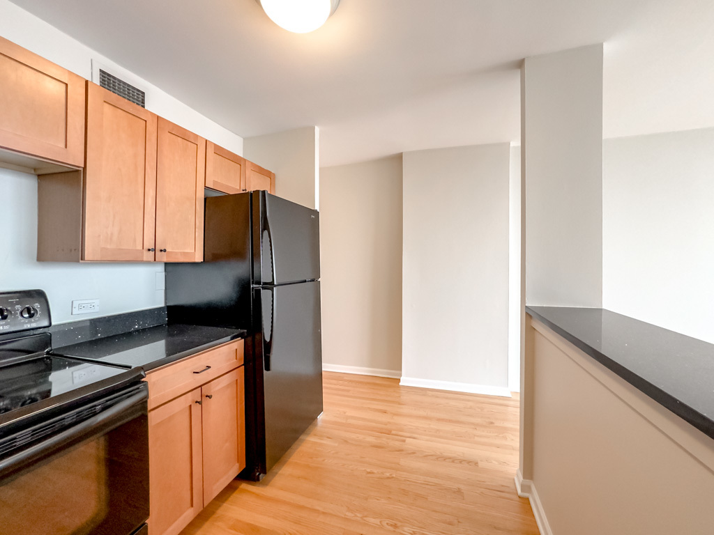 1636 N Wells Street Unit: 3004