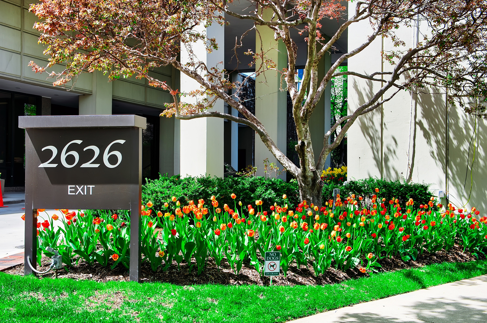 2626 N Lakeview Street Unit: 2106