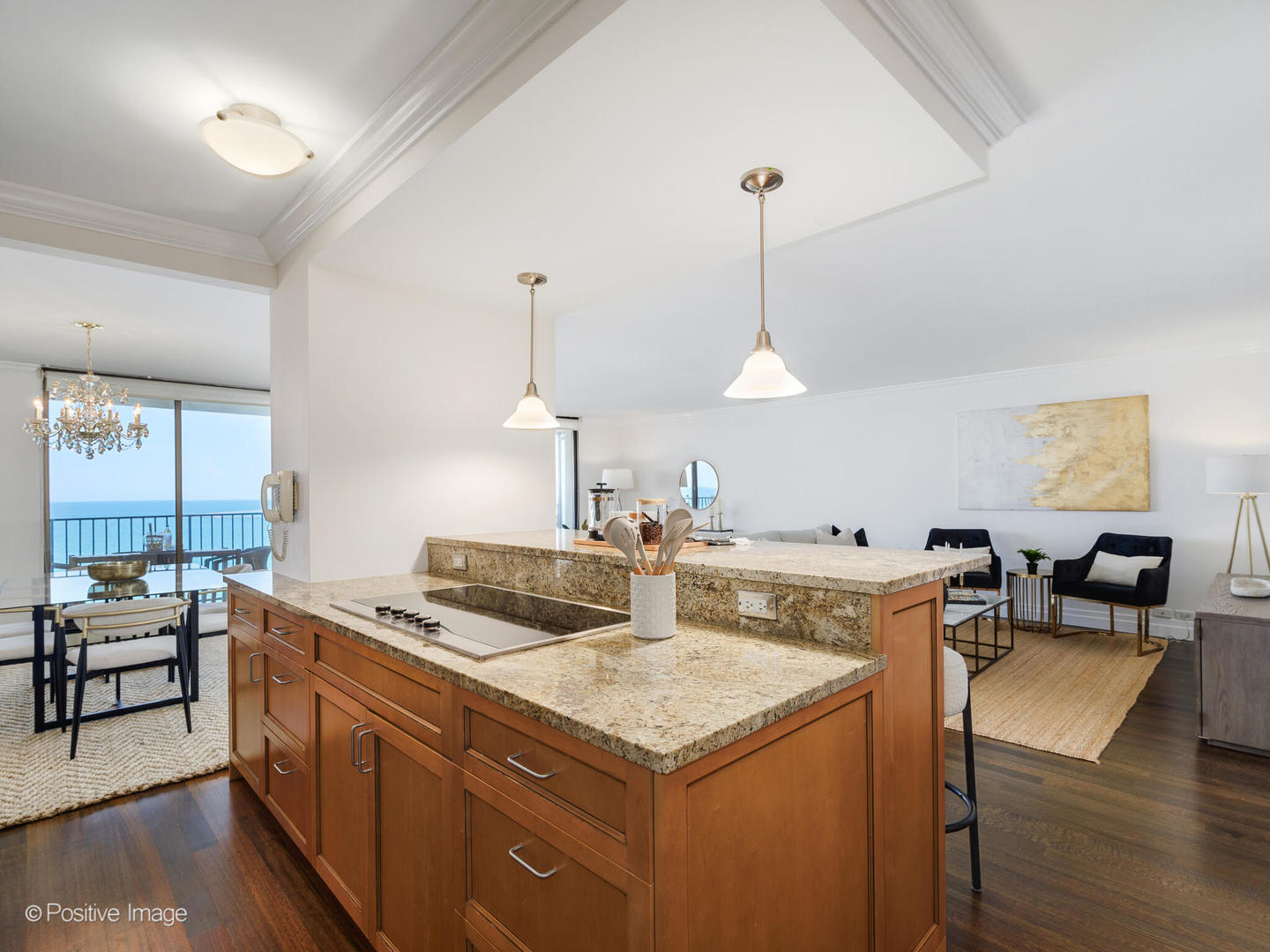 1212 N Lake Shore Drive Unit: 12CN