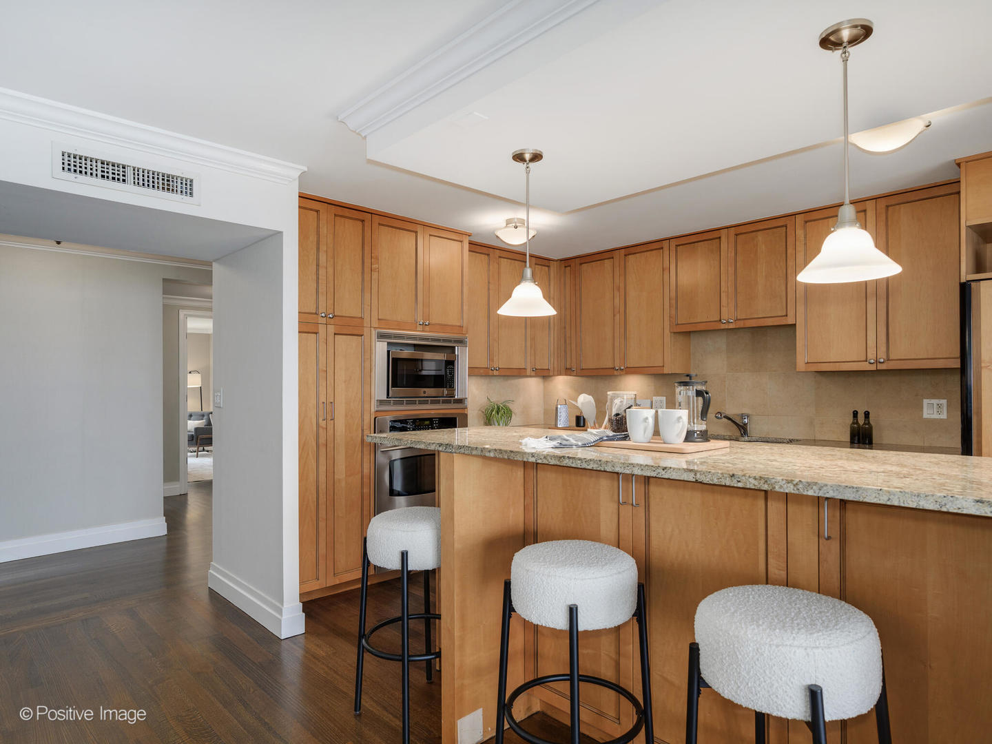 1212 N Lake Shore Drive Unit: 12CN