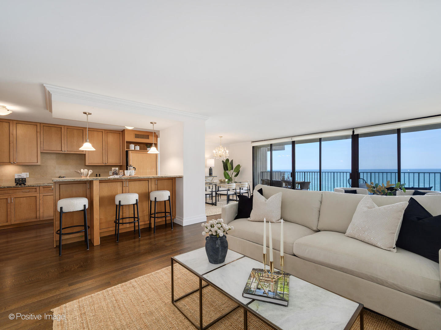 1212 N Lake Shore Drive Unit: 12CN