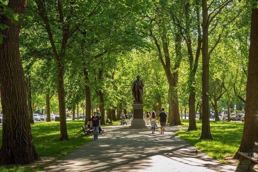 259 Beacon St Unit: 4