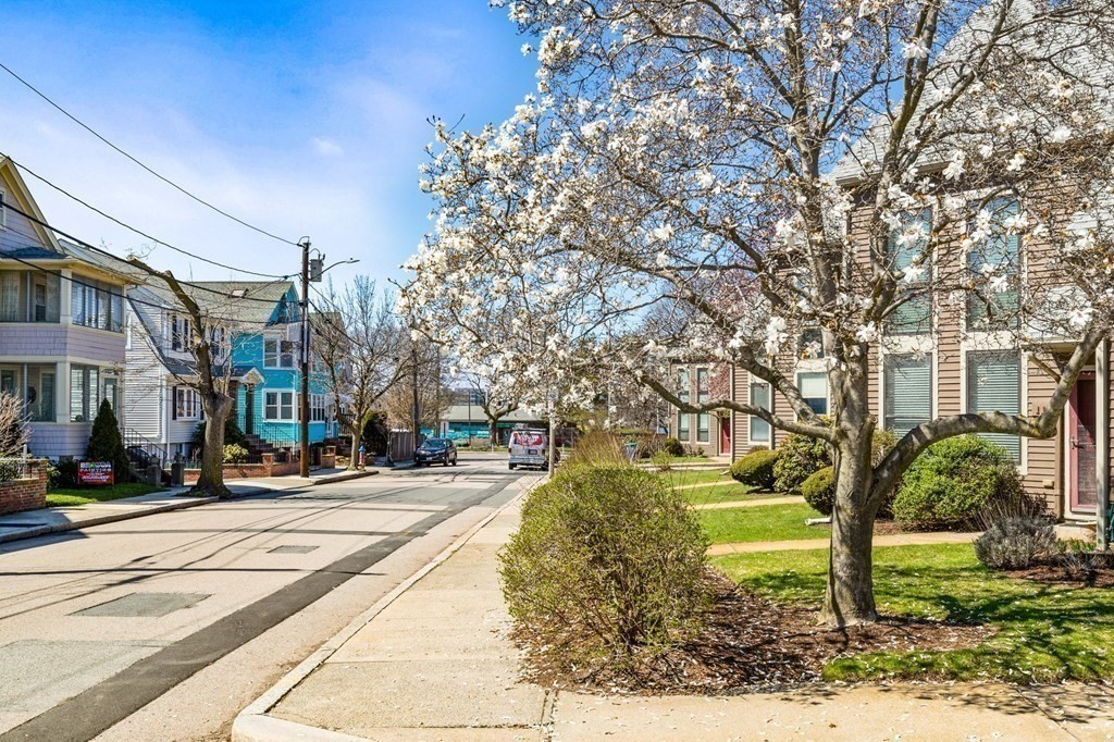 91 Governor Winthrop Rd. Unit: 91