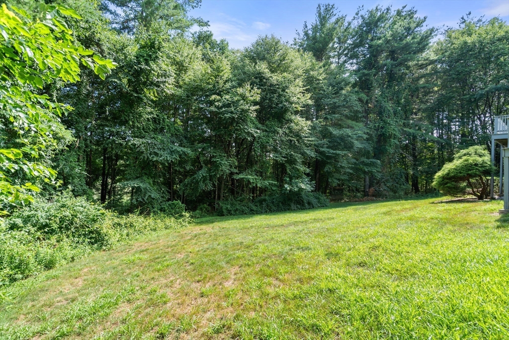 7 Larch Rd