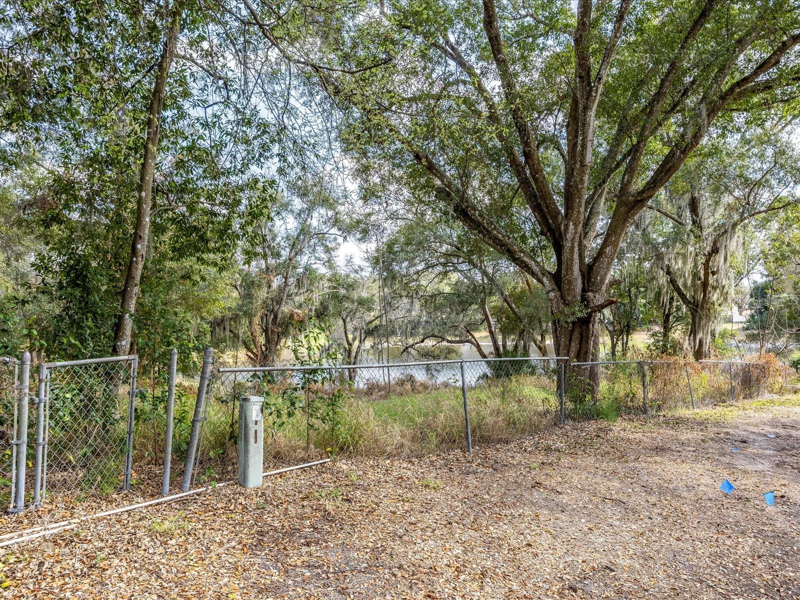 Wooded lot with a chain-link fence and water visible among mature trees.