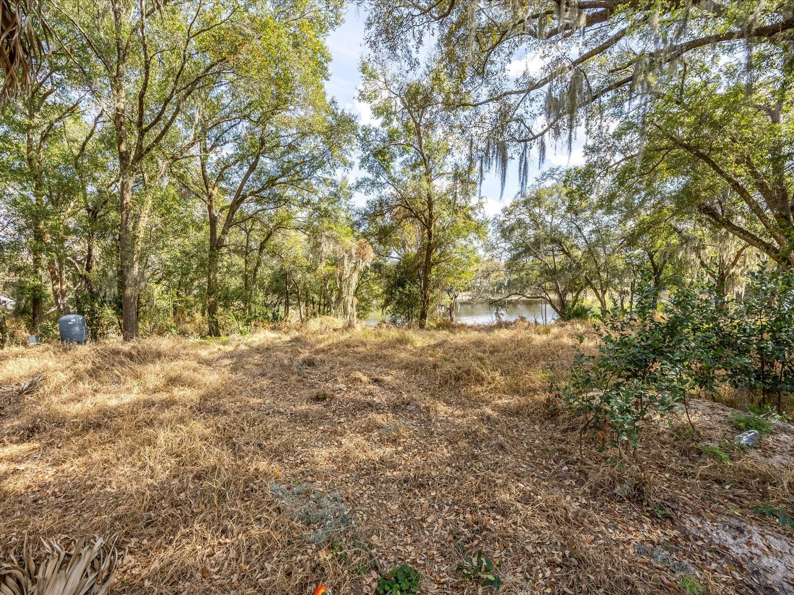 Wooded vacant lot with a clearing and a pond visible through mature trees.