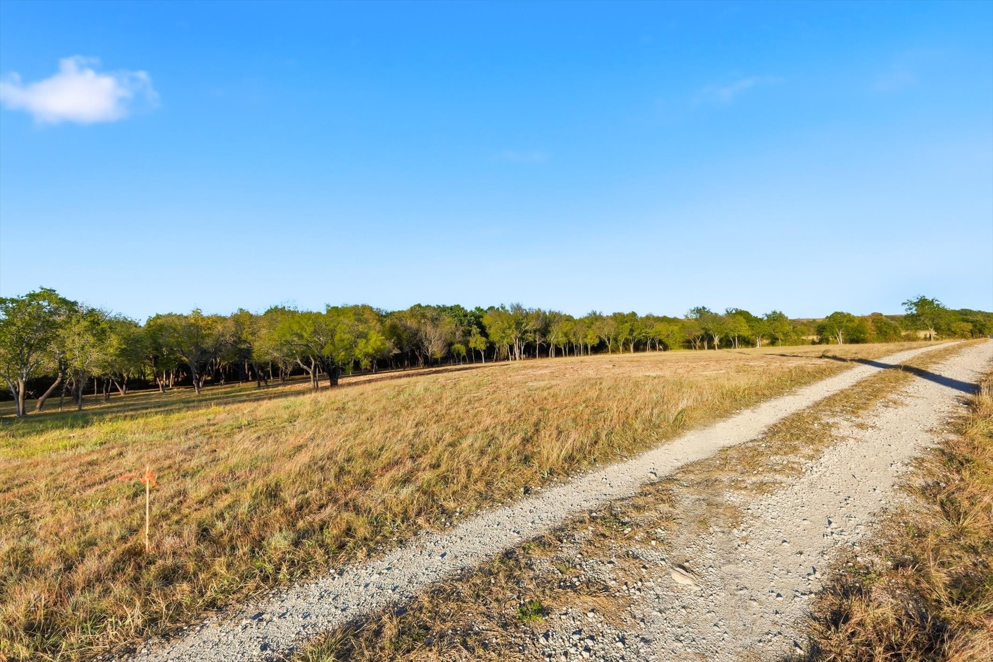 2401 Bear Creek Road