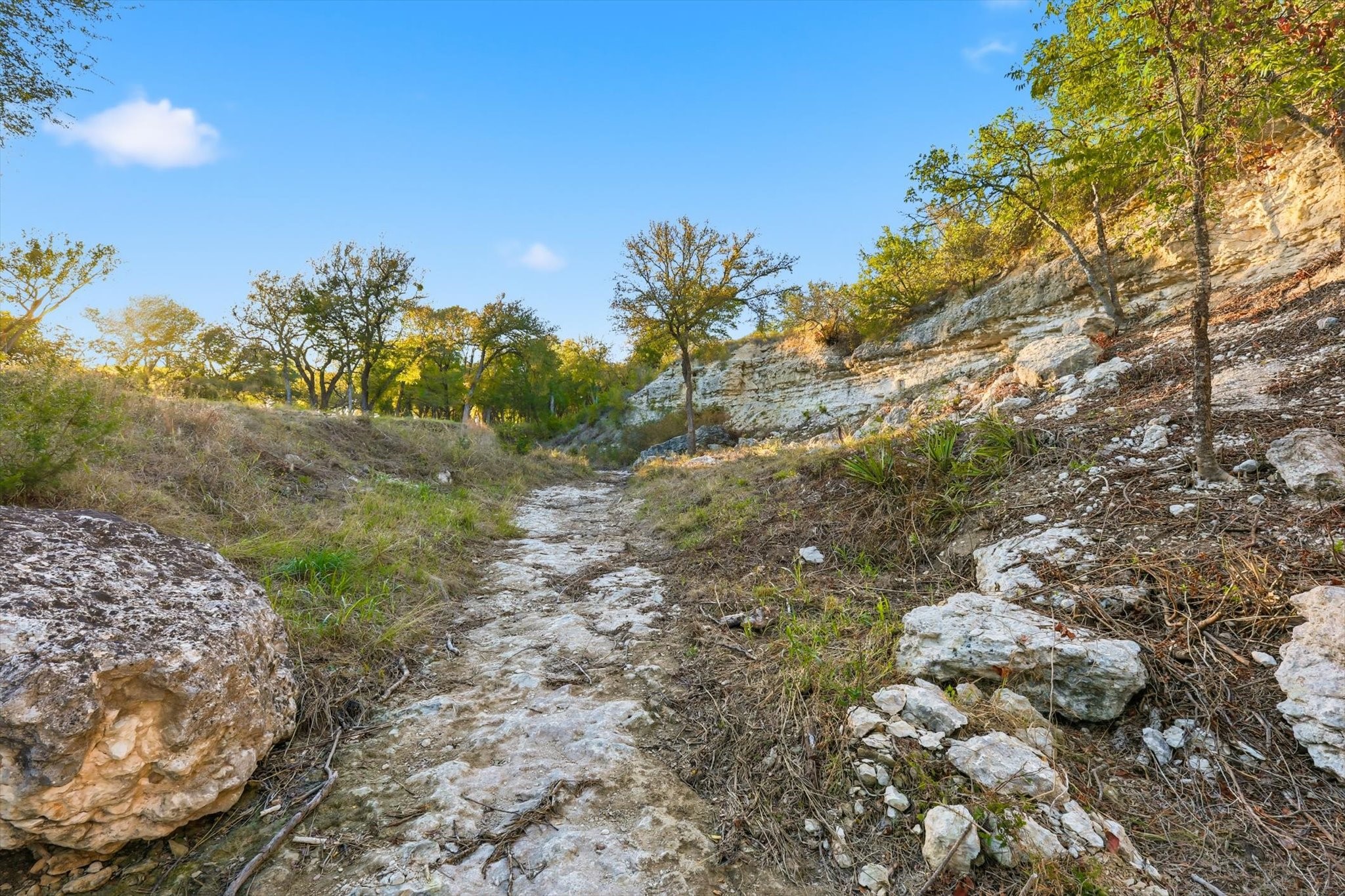 2401 Bear Creek Road