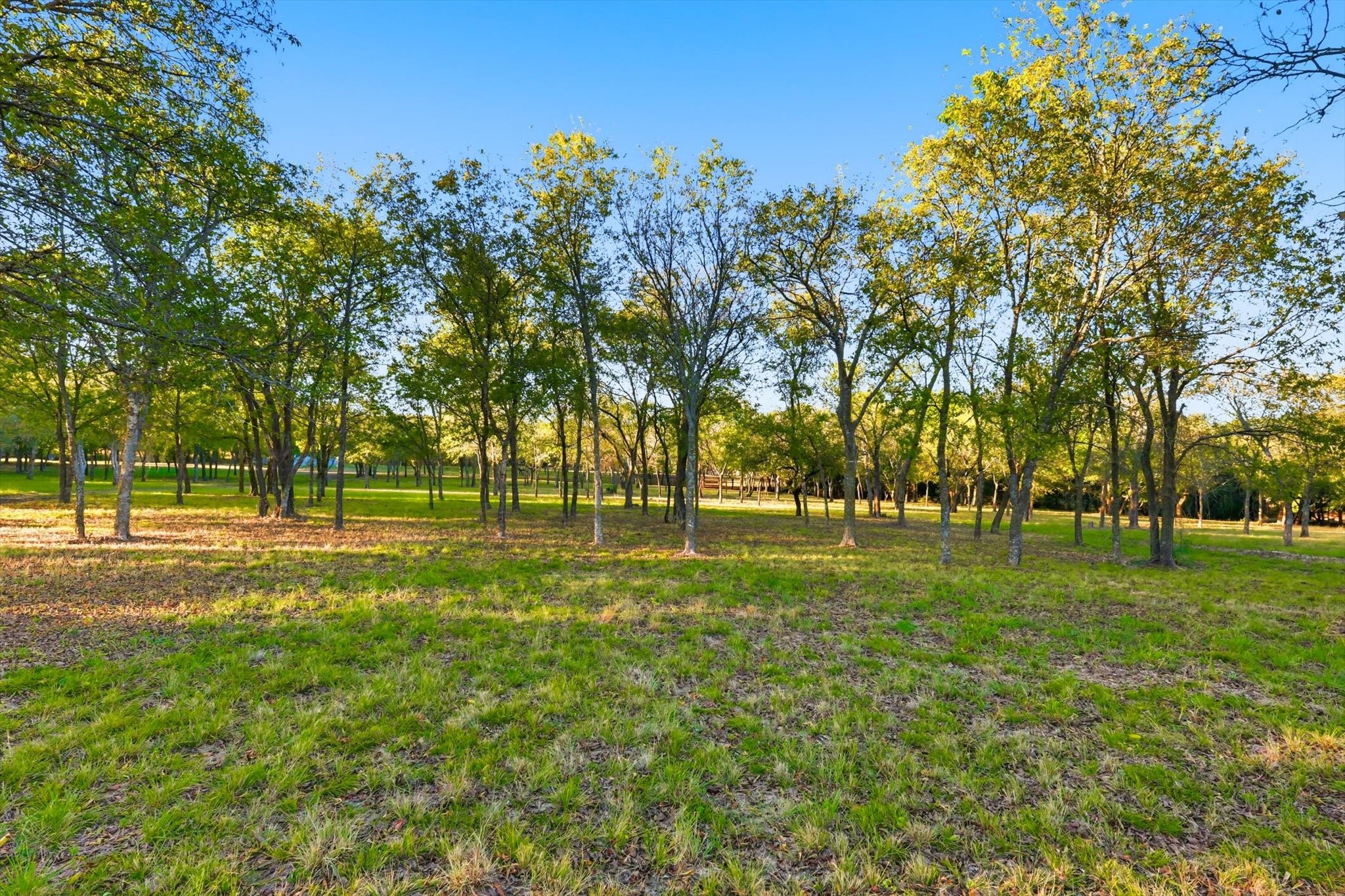 2401 Bear Creek Road