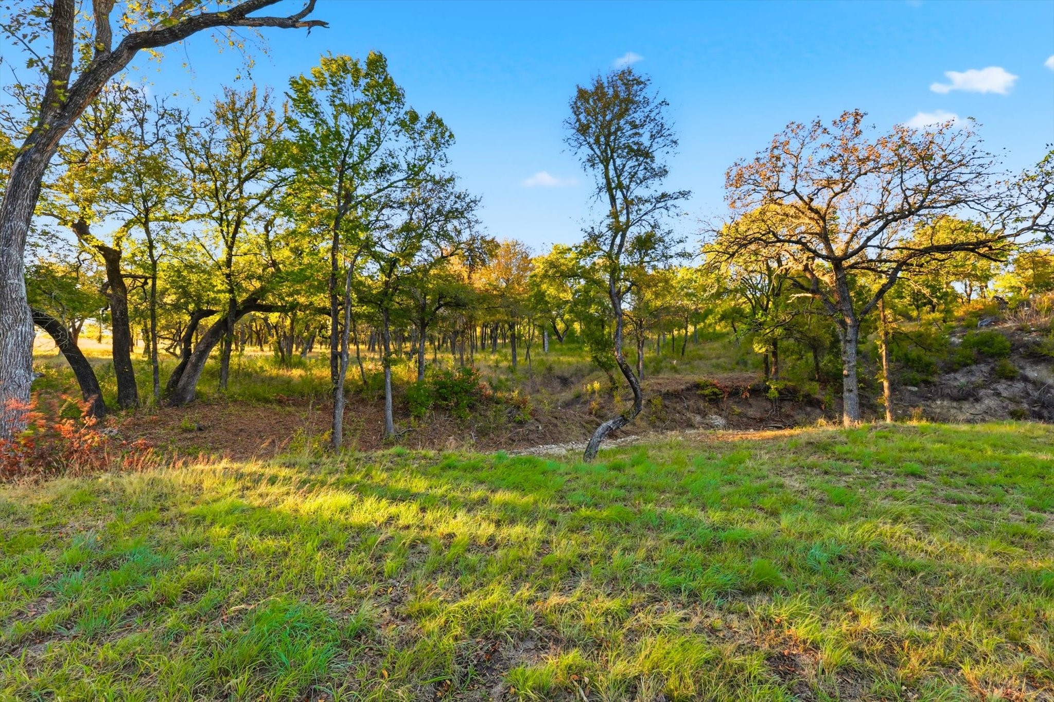 2401 Bear Creek Road