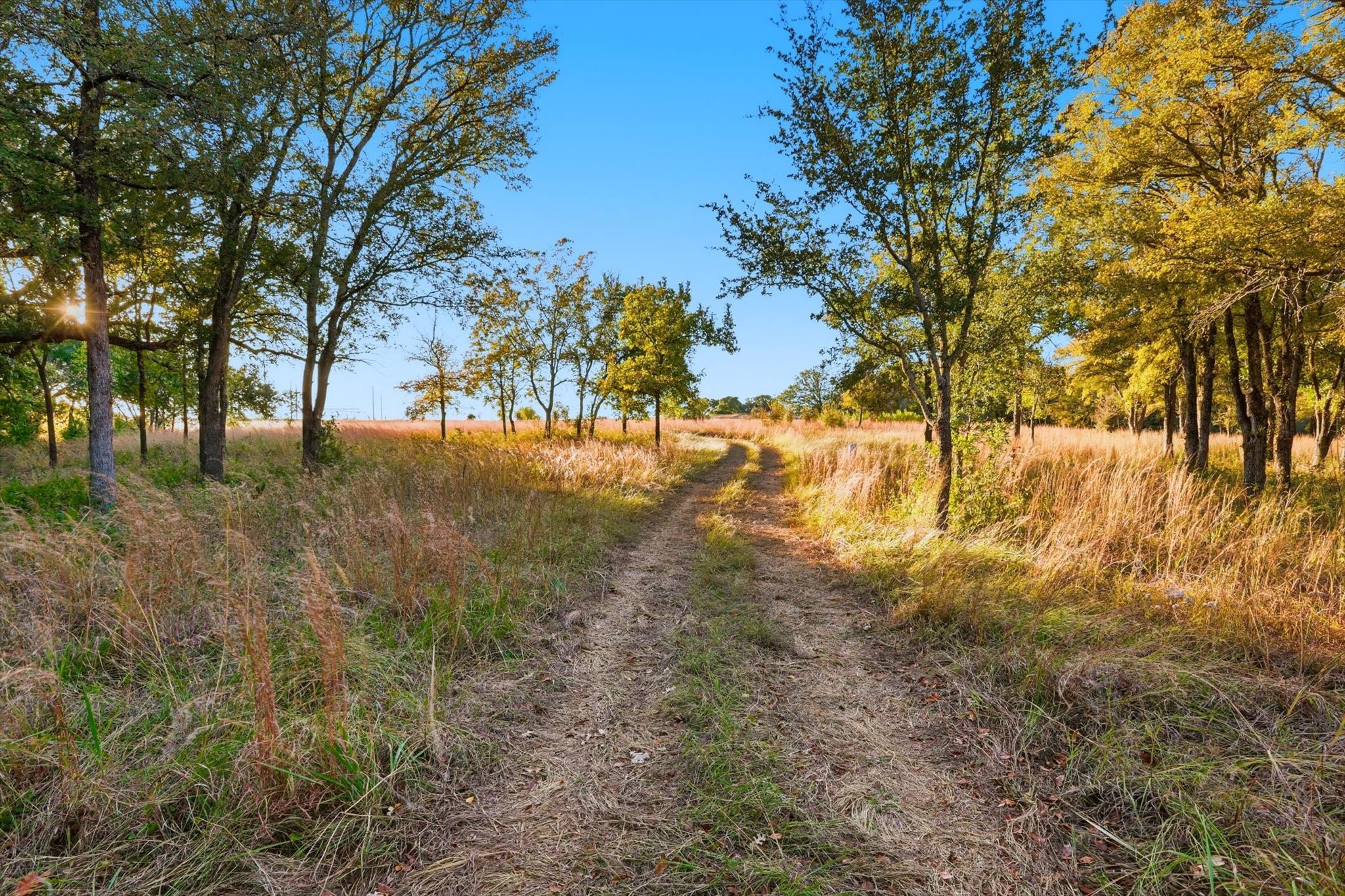 2401 Bear Creek Road