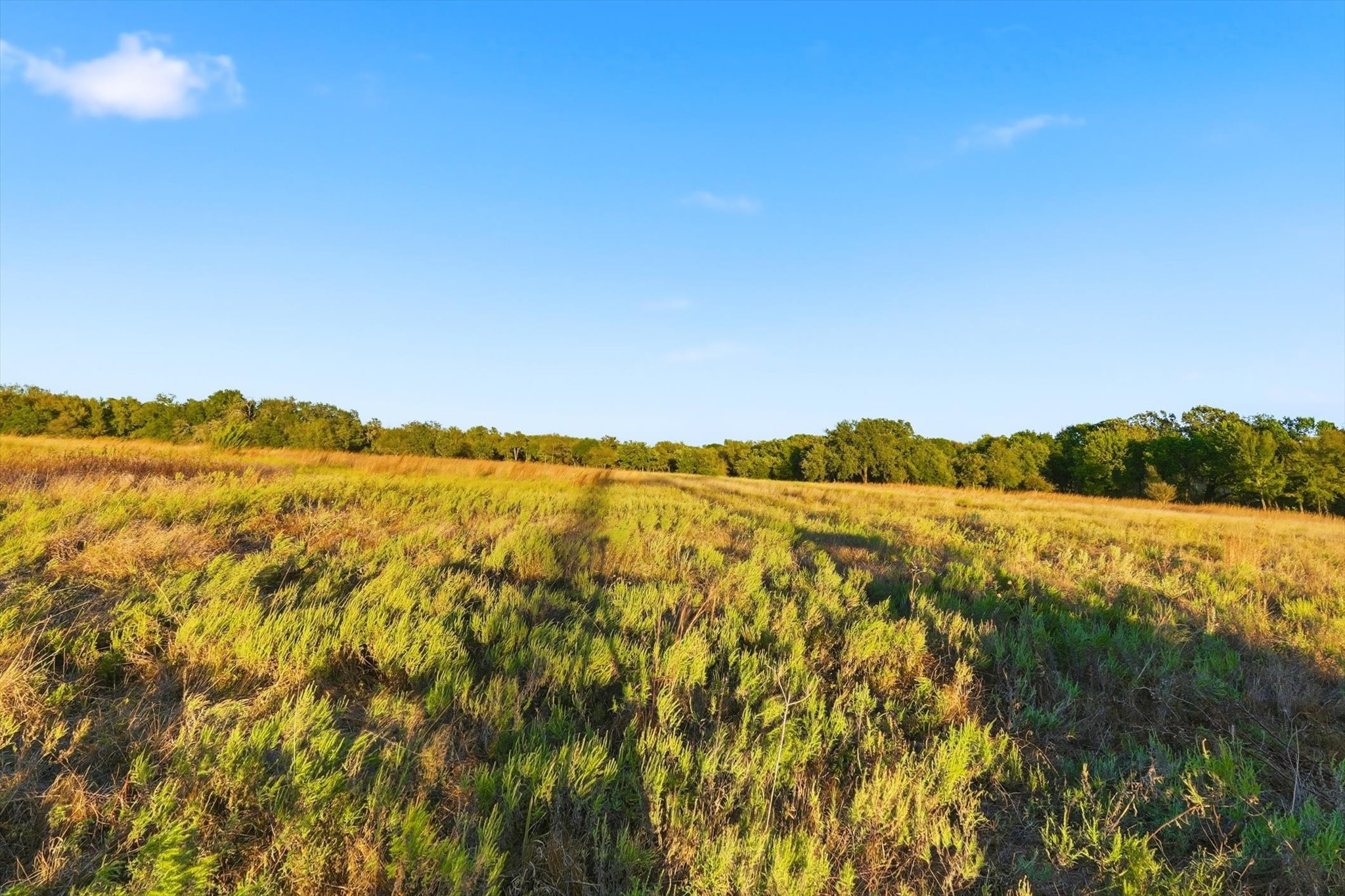 2401 Bear Creek Road