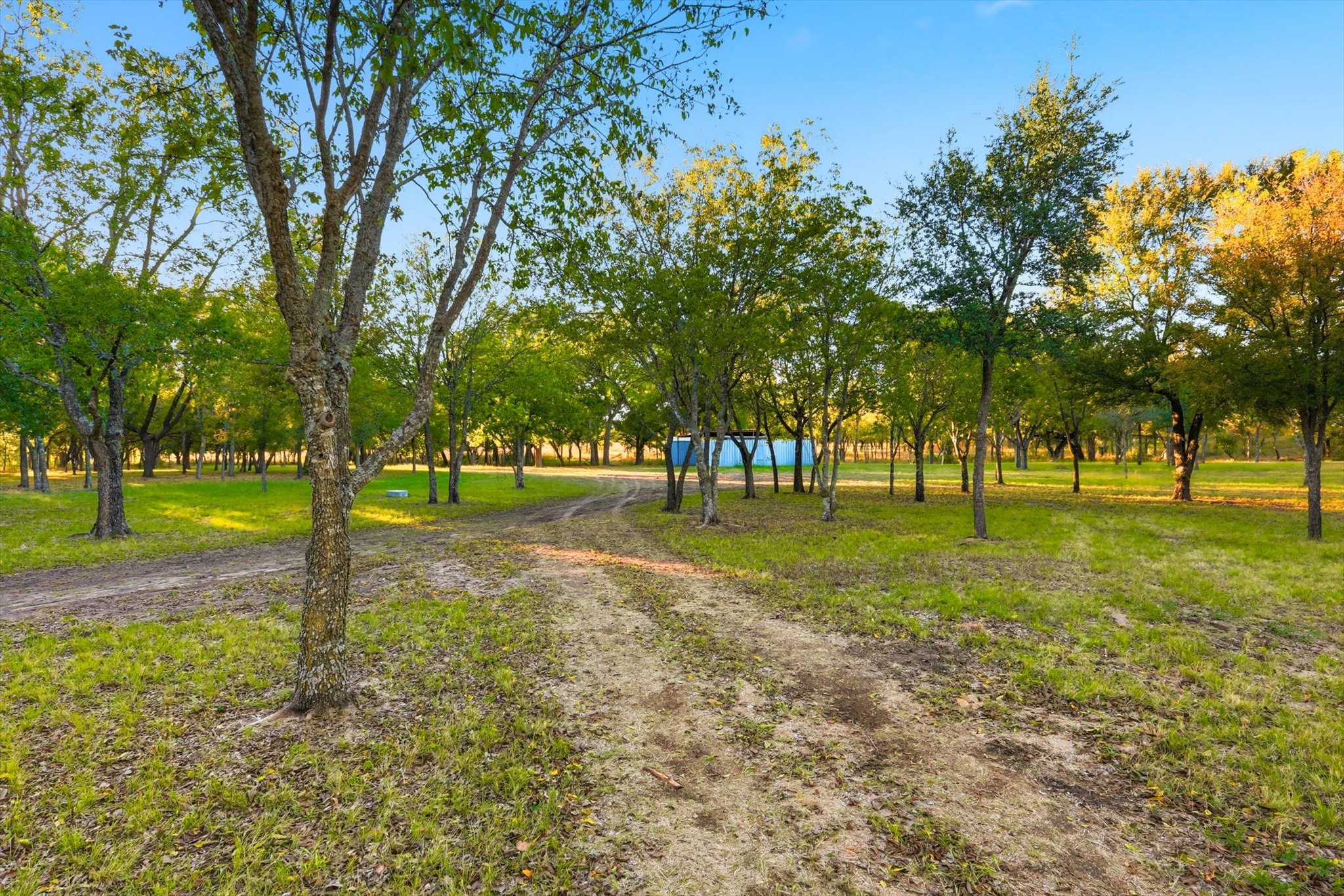 2401 Bear Creek Road